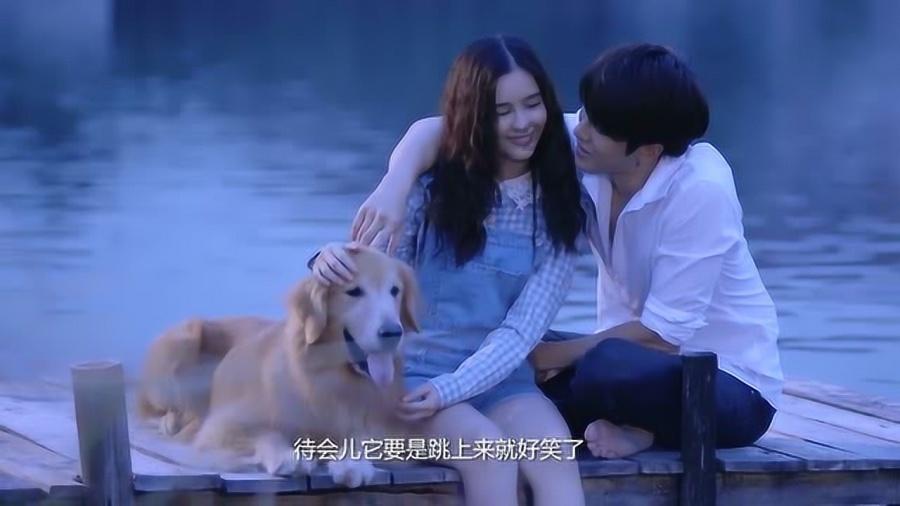 机器人罗博